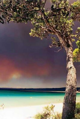 Australian burns