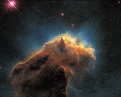 Young Star-CLICK to enlarge