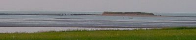 View of barrier sand dune on New London Bay