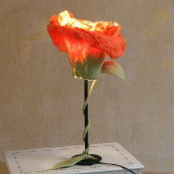 filzware felt products