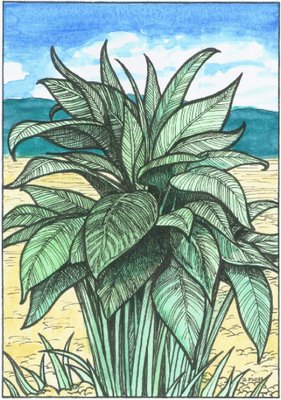 parable of the sower essay parable of the sower essay
