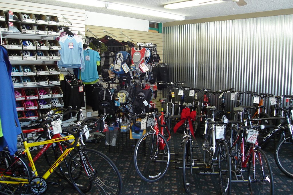 bermuda torker tandem bicycle
