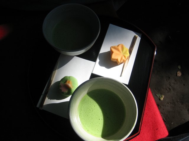 夢見るお馬鹿の物語 東京都文京区本駒込にある六義園の抹茶と和菓子