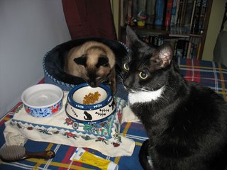 Salem wants to eat Chatham's food