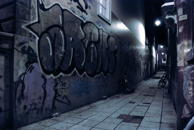 fat cat alley; ©Dreaming in Neon 2007