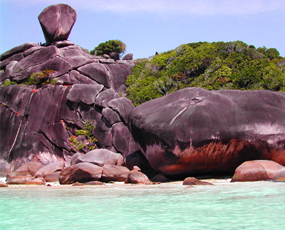 Symbol of Similan Island National Park