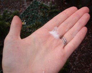 snowflake in my hand