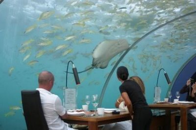 Restaurante bajo el agua