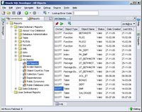 SQL Developer 1.0 all objects report