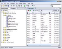 SQL Developer 1.1 all objects report
