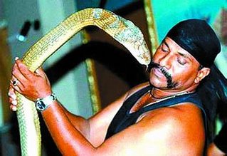 Snake king