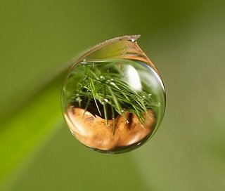 Photograph of water droplet.