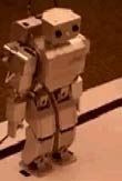 Robot Robot