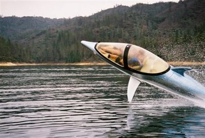 Boat shaped like a dolphin