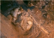 little foot primate remains