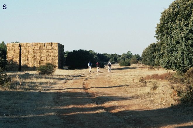 vrijdag 04: bij 'n hooiberg is de schapenrouten