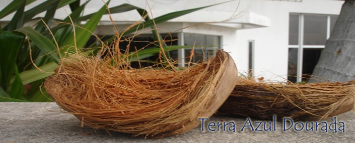 Terra Azul-Dourada