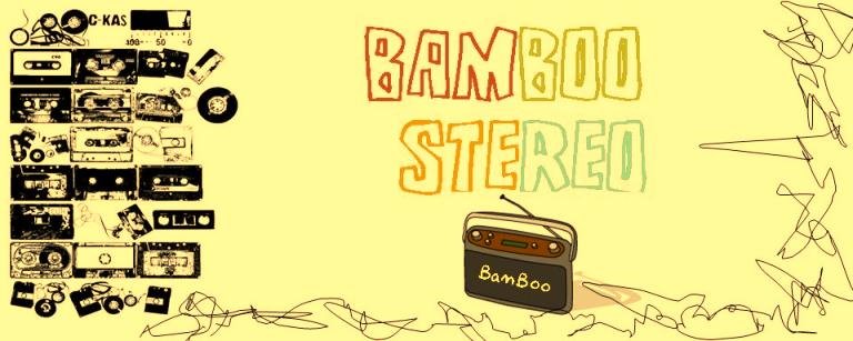 bamboo stereo