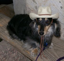 Honorary Texas Cowgirl