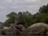 Fikirkan