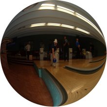 Bowlingus