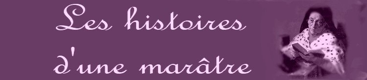 Histoires marâtiennes