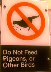 Do Not Feed Pigeons