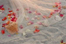 No Worries Arch Tulle and Conch Shell with rose petals