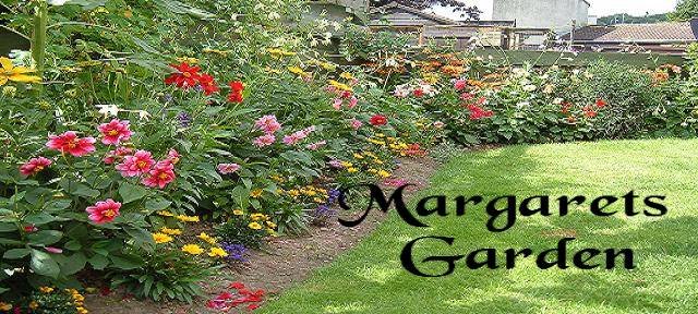 Margarets Garden