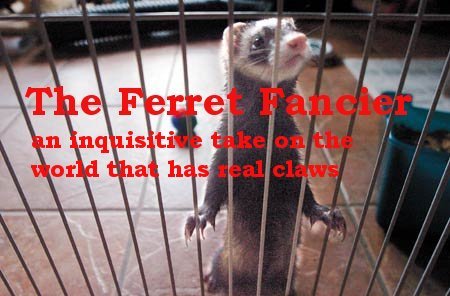 The ferret fancier