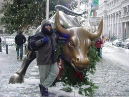 Taking the Bull by the Horn!