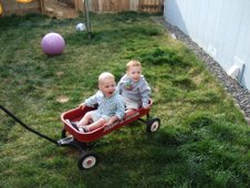 Playing in the Yard