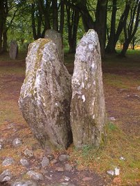 Standing Stones at Clava Cairns