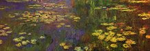 Monet- Waterlilies (1920-1926)