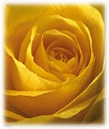 Chapter Flower