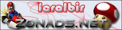 www.zonads.net
