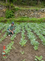 Producción