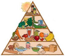 Vegan Food Pyramid
