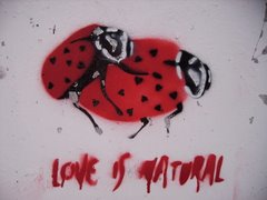 "Love is Natural" - Portugal