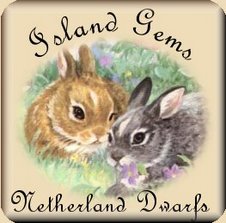 O logotipo de um site de coelhos anões