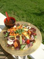 Succulent Seductive Salad
