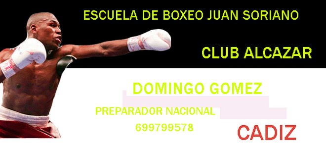 Domingo Preparador Fisico