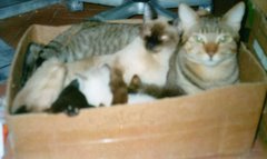 Britty y Boris