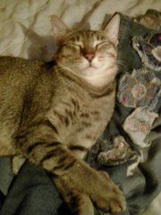 Boris