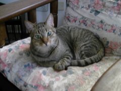 Boris