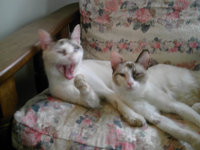 Hat y Nenuna