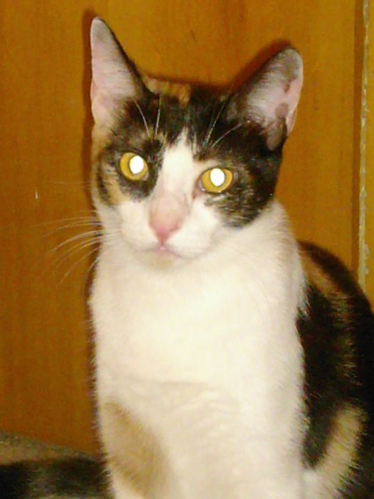 Katrina
