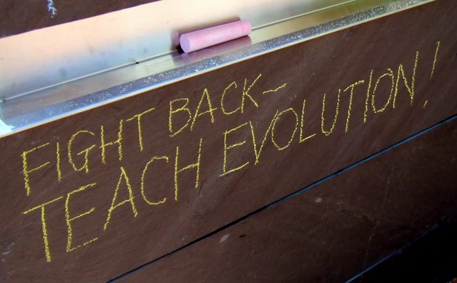 Charlottesville Free Speech Wall 1