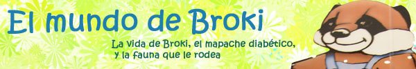 El mundo de Broki