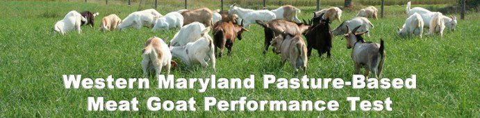 Western Maryland Pasture-Based Meat Goat Performance Test